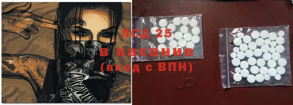 мдпв Вяземский