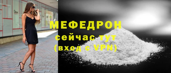мдпв Вяземский