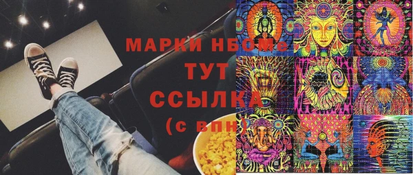 мдпв Вяземский