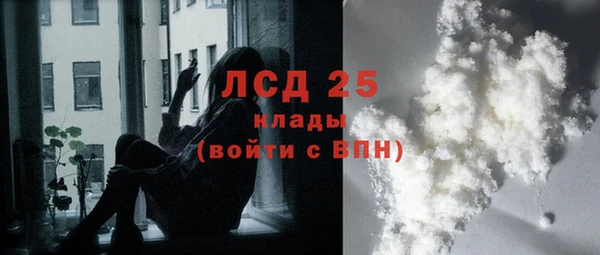 шишки Вязьма