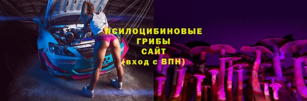 шишки Вязьма