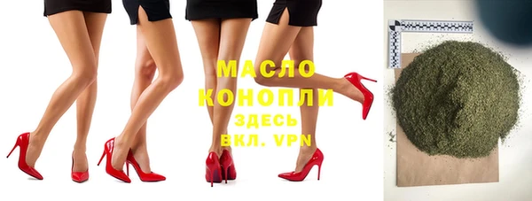 мдпв Вяземский