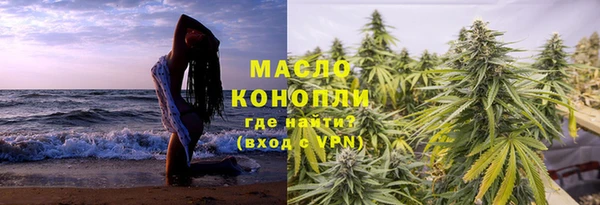 мдпв Вяземский