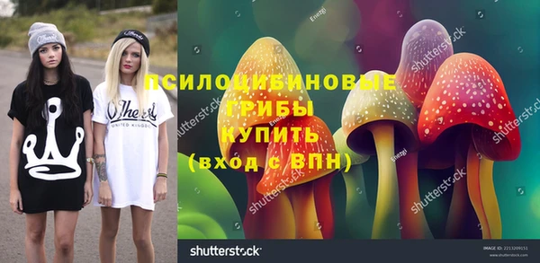 мдпв Вяземский