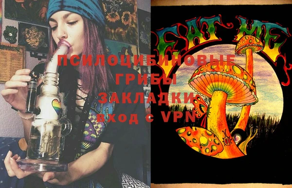 мдпв Вяземский