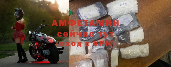 мдпв Вяземский