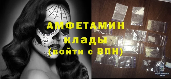 индика Нея